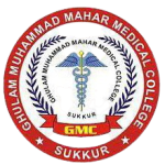 cropped-ghulam-muhammad-mahar-medical-college-removebg-preview-1