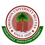 Government Emerson University, Multan Government Emerson University, Multan