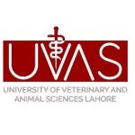 University of Veterinary and Animal Sciences, Lahore University of Veterinary and Animal Sciences, Lahore